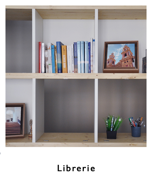 logo librerie